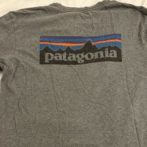 Patagonia tee